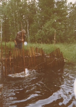 Ember halcsapdát ellenőriz az erdőben Egy ember egy fából készült halcsapdát ellenőriz a vízben, erdős területen.