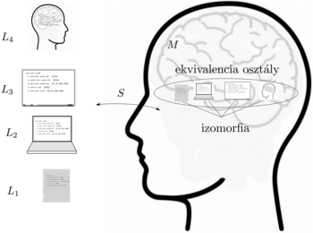 Emberi fej sziluettje, szintek L1-L4, ekvivalencia osztály és izomorfia ábrázolva