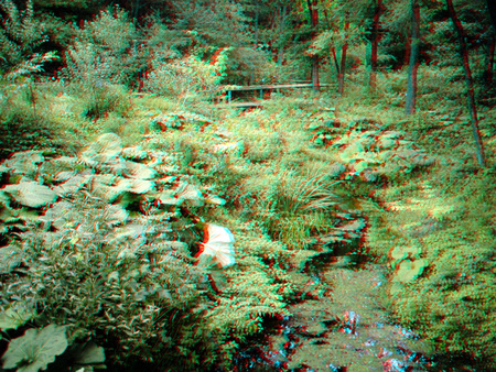 Erdei patak buja növényzettel körülvéve, zöld növények és fák láthatók a háttérben.