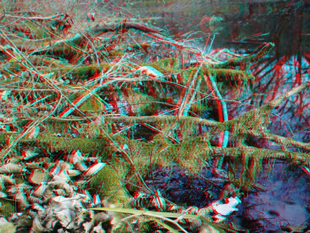 Erdei patak moha borította ágakkal 3D hatásban Erdei patak moha borította ágakkal és levelekkel, 3D hatású kép vörös és kék szűrőkkel.