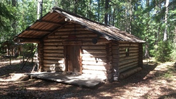 Erdei faház rönkökből építve Egy erdei faház, amely fából készült rönkökből épült, körülötte erdő látható.