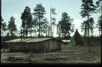 Erdei tábor faházzal és sátorral Erdei tábor, amelyben egy faház és egy sátor látható, körülötte fák.