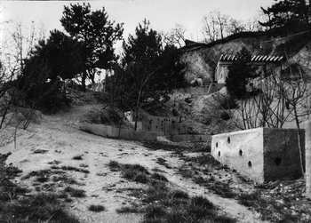 Erdős terület beton szerkezetekkel a domboldalon Erdős terület, ahol beton szerkezetek vannak elhelyezve a domboldalon, fák és természetes környezet látható.