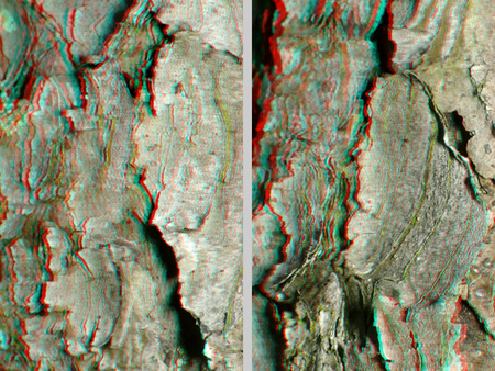 Fa kérgének részlete látható 3D hatású megjelenítéssel, textúra és természet.