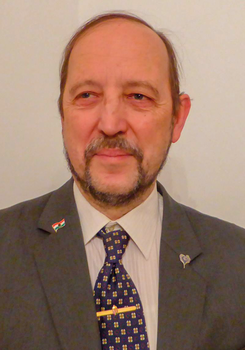 Férfi öltönyben, indiai zászló kitűzővel és szív alakú kitűzővel a zakóján.