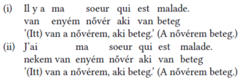 Francia és magyar mondatok láthatók, amelyek a 'nővérem beteg' kifejezést tartalmazzák.