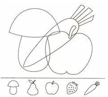 Különböző gyümölcsök és zöldségek körvonalai, jelmagyarázattal: gomba, körte, alma, eper, répa.