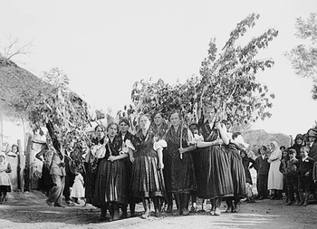 Hagyományos magyar falusi ünnepség népviseletben Nők népviseletben állnak sorban, kezükben ágakkal, egy magyar falusi ünnepségen.