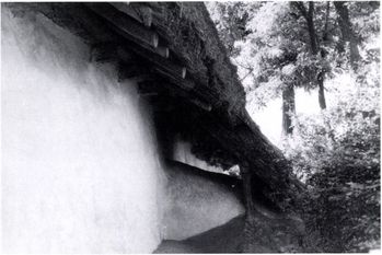 Hagyományos nádfedeles ház a természetben Egy hagyományos nádfedeles ház, amelyet fák és növények vesznek körül.