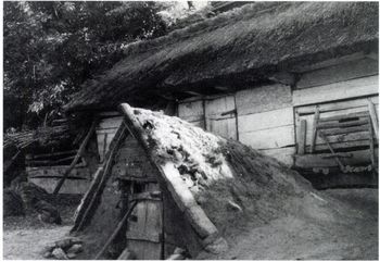 Hagyományos nádtetős parasztház kemencével Fekete-fehér kép egy hagyományos nádtetős parasztházról, előtérben földbe vájt kemencével.