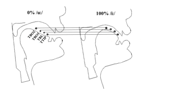 Két szájüreg metszeti rajza, amely a /u/ és /i/ hangok képzését mutatja be, nyelvmozgás jelöléssel.