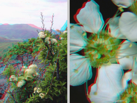 Hegyi táj és közeli felvétel egy virágról, 3D hatással