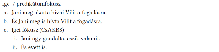 Nyelvtani példák az ige- és predikátumfókuszra, mondatok Janival és Vilivel.