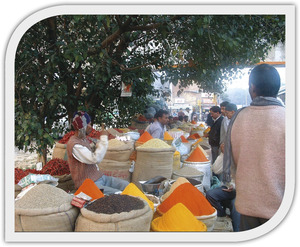 Indiai fűszerpiac különböző fűszerekkel és magvakkal Indiai fűszerpiac, ahol különböző fűszerek és magvak vannak kiállítva zsákokban, árusok és vásárlók beszélgetnek.