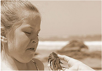 Kézben tartott rák a tengerparton Egy kéz tart egy kis rákot a tengerparton, háttérben a tenger látható.