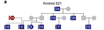 Családfa diagram, amely a Kindred SZ1 nevű családot ábrázolja, különböző személyekkel és kapcsolatokkal.