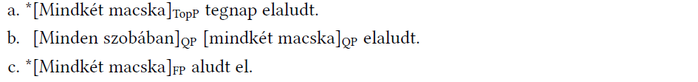 Kvantorok helyzete és szerepe a mondatokban Három mondat kvantorokkal: a. *Mindkét macska tegnap elaludt. b. Minden szobában mindkét macska elaludt. c. *Mindkét macska aludt el.