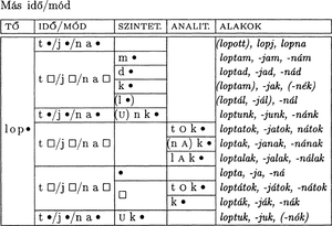 Táblázat a 'lop' ige különböző idő- és módformáival, nyelvtani ragozás.