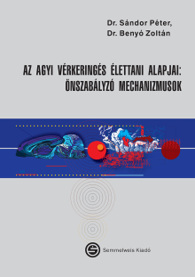 Az agyi vérkeringés élettani alapjai: önszabályzó mechanizmusok