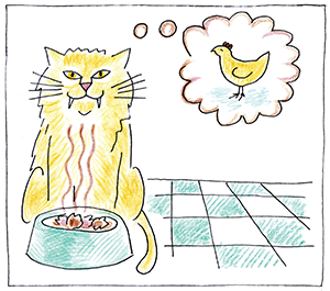 Macska csirkére gondol étkezés közben Rajzolt macska ül egy tál étel előtt, és egy csirkére gondol.