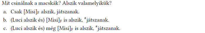 Macskák alvási és játék tevékenységei feladat Macskák alvási és játék tevékenységei feladat, Misi és Luci macskák.