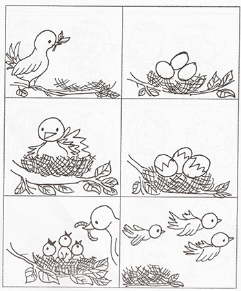 Madár életciklusa a fészek építésétől a fiókák kirepüléséig Madár életciklusa: fészek építés, tojások, fiókák kikelése és kirepülése.