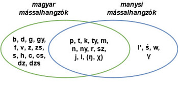 Venn-diagram a magyar és manysi mássalhangzókról, közös és különálló hangokkal.