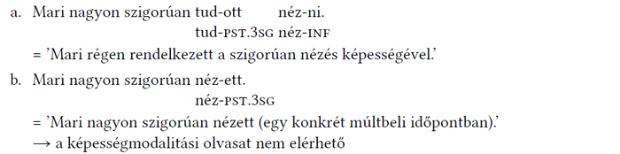 Nyelvészeti példák a magyar nyelvben a múlt idő és képesség kifejezésére, szigorú nézés képessége és konkrét múltbeli nézés.