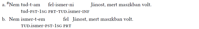 Két magyar mondat a felismerés és megismerés különböző formáival, János maszkban volt.