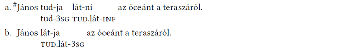 Két mondat a magyar nyelvben, az első hibás, a második helyes, a tudás és látás kifejezésére.