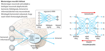Diagram a mesterséges neurális hálózatok működéséről, bemeneti, feldolgozó és kimeneti rétegekkel.