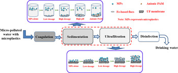 Diagram a mikroműanyagok eltávolításáról a víztisztítási folyamat során, koaguláció, ülepítés, ultrafiltráció és fertőtlenítés lépésekkel.