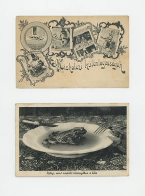 Régi képeslap Miskolci különlegességekkel, kocsonyában lévő békával.