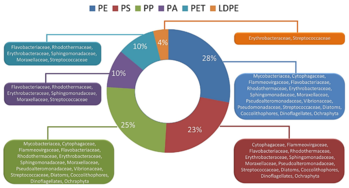 Műanyagokhoz kapcsolódó baktériumcsaládok kördiagramja Kördiagram, amely különböző műanyagokhoz kapcsolódó baktériumcsaládokat mutat be százalékos eloszlásban.