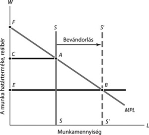 Munka határterméke és reálbér grafikon bevándorlás hatására Grafikon a munka határtermékének és reálbér változásáról a bevándorlás hatására, jelölésekkel.