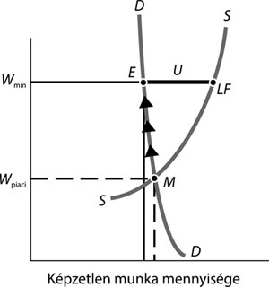 Gazdasági diagram a munkaerőpiacról, minimálbér hatása kereslet és kínálat görbékkel.