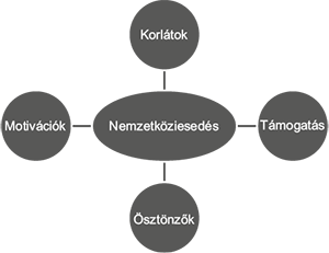 Diagram a nemzetköziesedésről, amely motivációkat, korlátokat, támogatást és ösztönzőket mutat be.