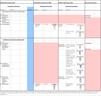 Táblázat a női reproduktív rendszer különböző állapotairól és kombinációiról, méh és petefészek ábrákkal.