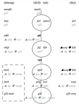 Nyelvi diagram, amely szavakat és kifejezéseket mutat be férfi, nő és feleség kategóriák szerint.