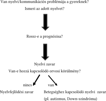 Nyelvi és kommunikációs problémák diagnosztizálása gyermekeknél Döntési folyamat a gyermek nyelvi/kommunikációs problémáinak diagnosztizálására, nyelvi zavar, nyelvfejlődési zavar, betegséghez kapcsolódó nyelvi zavar.