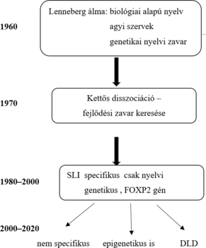 Nyelvi zavarok kutatásának története Diagram a nyelvi zavarok kutatásának történetéről, Lenneberg elméletétől a FOXP2 génig.