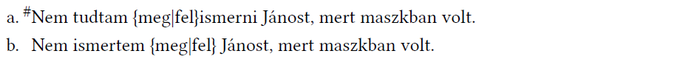 Nyelvtani különbség: megismerni és felismerni Két mondat a megismerni és felismerni szavak közötti különbségről, maszkban lévő Jánossal.