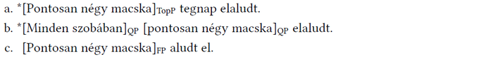 Nyelvtani szerkezetek és jelölések mondatokban Három mondat nyelvtani szerkezetekkel és jelölésekkel: TopP, QP, FP.
