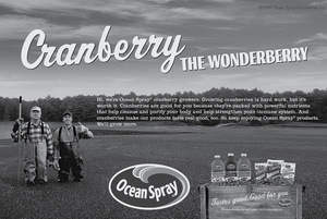 Ocean Spray áfonya reklám - A csodabogyó Ocean Spray áfonya reklám, két termesztő és termékek a háttérben.