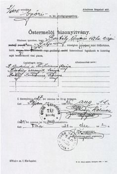 Őstermelői igazolvány Borbély Lajos részére, 1926 1926-os őstermelői igazolvány Borbély Lajos részére Győr vármegye, Táp községben, családtagok és érvényesség feltüntetve.