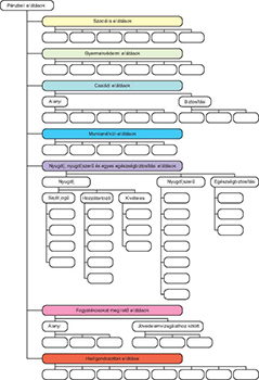 Pénzbeli ellátások kategóriái Diagram a pénzbeli ellátások különböző kategóriáiról, mint szociális, gyermekvédelmi, családi, munkanélküli, nyugdíj, fogyatékosokat megillető és hadigondozottak ellátásai.