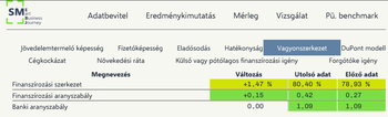 Pénzügyi elemzés táblázat, amely a vagyonszerkezet változásait mutatja be különböző pénzügyi mutatók alapján.
