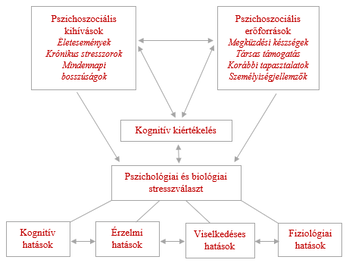 Diagram a pszichoszociális kihívások és erőforrások hatásáról a stresszválaszra.