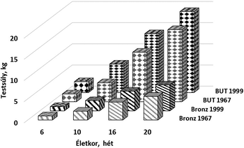 3D oszlopdiagram a pulykák testsúlyának növekedéséről különböző korokban és években.