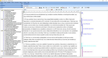QDA Miner Lite szoftver képernyője, bal oldalon kódok listája, jobb oldalon dokumentum szövege és kódok.